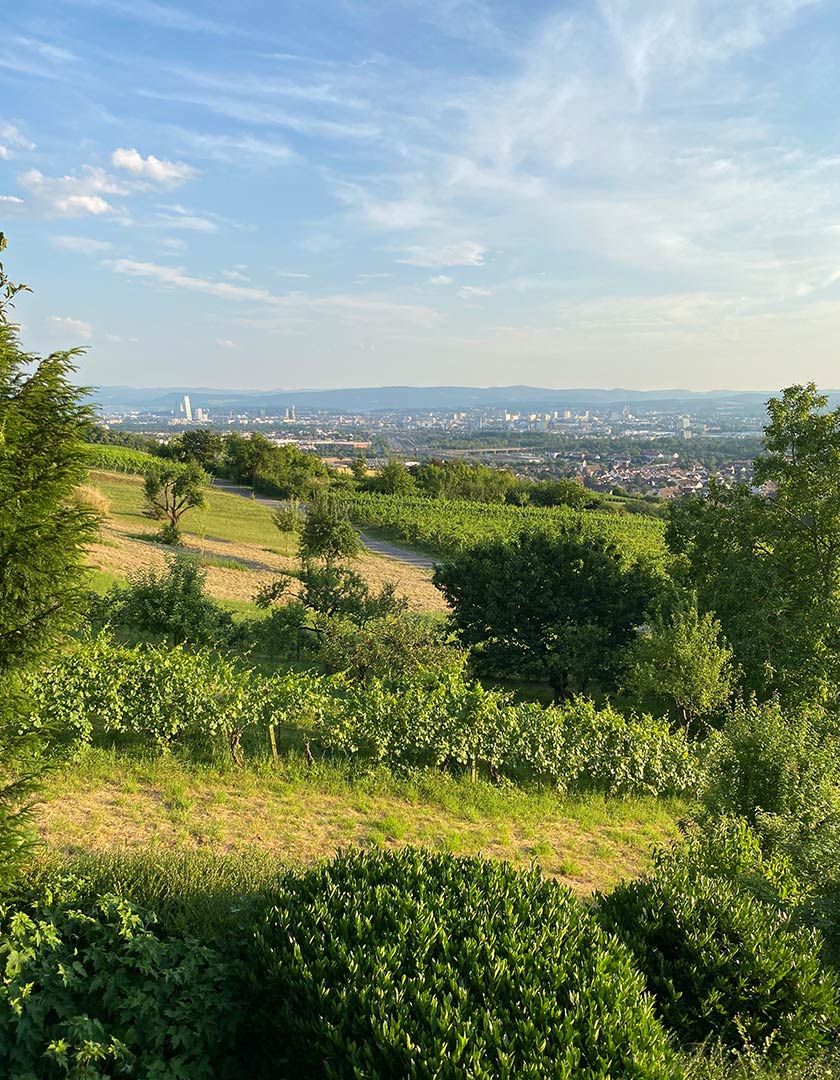 hhc.immo-einfamilienhaus-spektakuläre-aussicht-weil-am-rhein-ötlingen-2