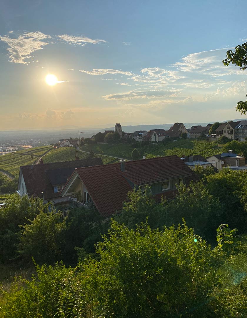hhc.immo-einfamilienhaus-spektakuläre-aussicht-weil-am-rhein-ötlingen-3